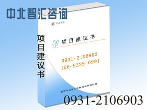 專業(yè)項(xiàng)目建議書撰寫與信息咨詢服務(wù)——助力蘭州項(xiàng)目順利啟動(dòng)