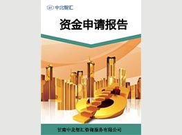 蘭州專業(yè)的項(xiàng)目建議書撰寫公司及甘肅信息咨詢服務(wù)推薦